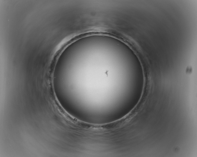 X0000113611168200909251135