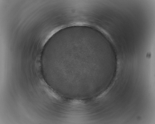 X0000113611170200909251135