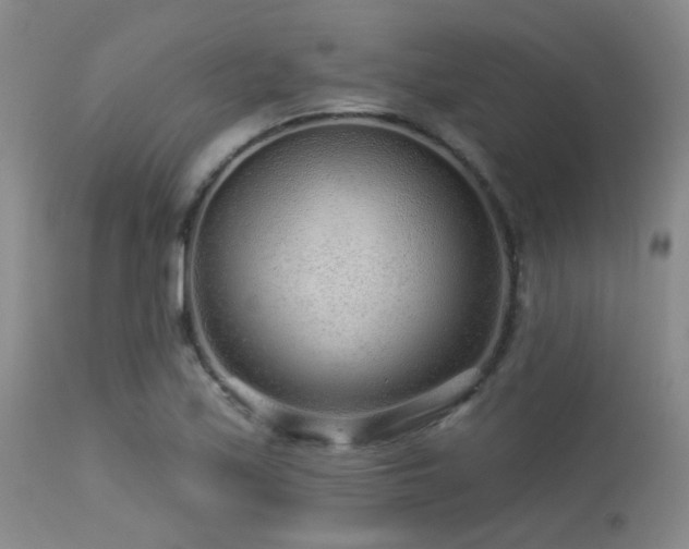 X0000113611171200909251135