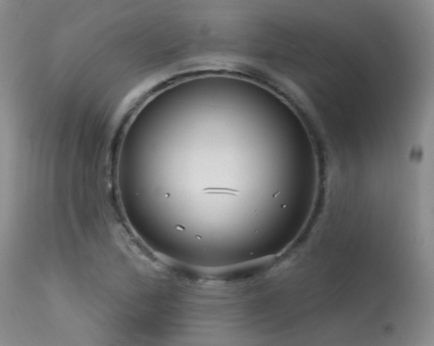 X0000113611172200909251135