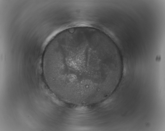 X0000113611174200909251135