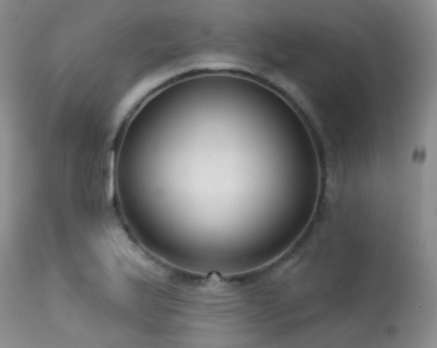 X0000113611175200909251135