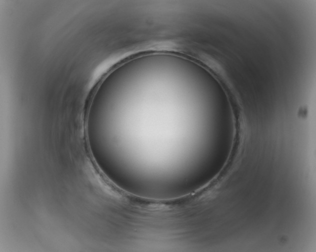 X0000113611176200909251135