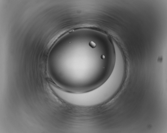 X0000113611177200909251135