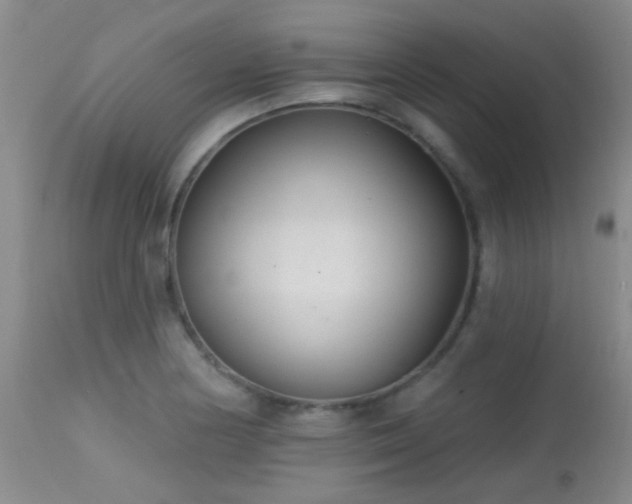 X0000113611178200909251135