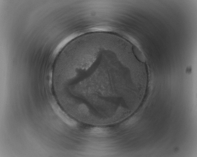 X0000113611179200909251135