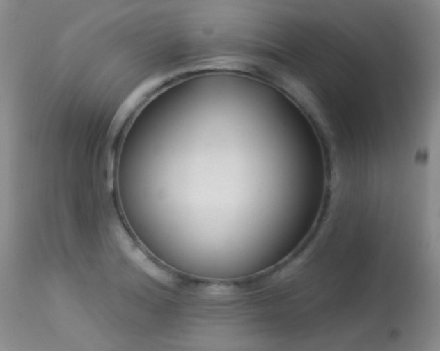 X0000113611180200909251135