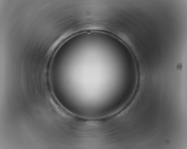 X0000113611181200909251135