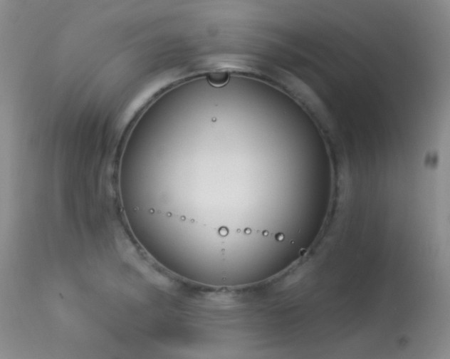 X0000113611182200909251135