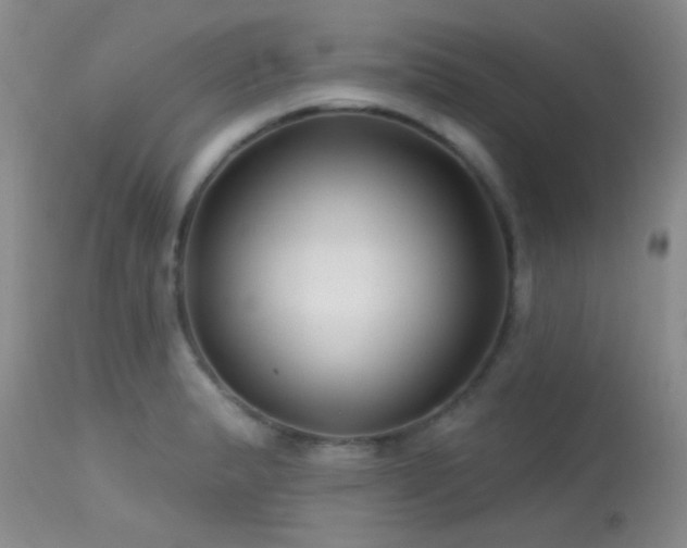 X0000113611183200909251135