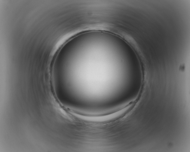 X0000113611184200909251135