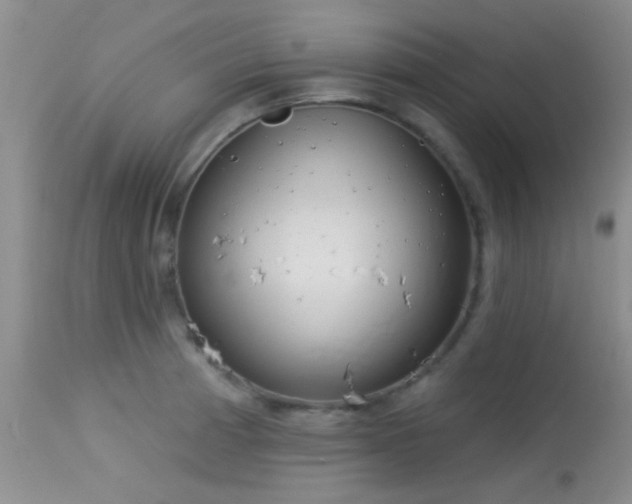 X0000113611185200909251135