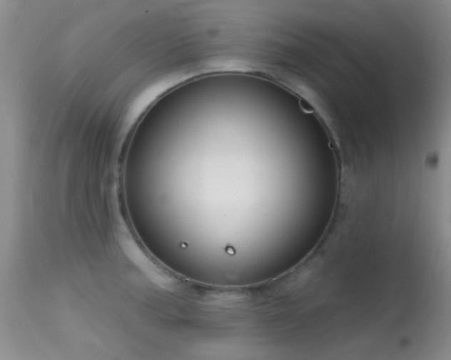 X0000113611187200909251135