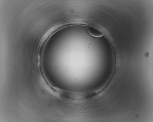 X0000113611188200909251135