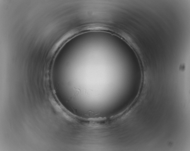 X0000113611189200909251135