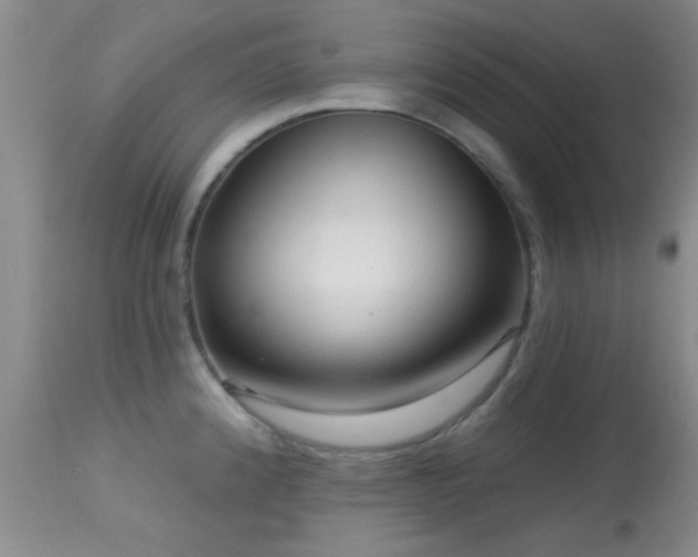 X0000113611192200909251135