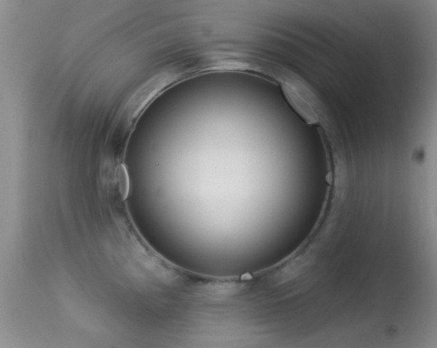 X0000113611193200909251135