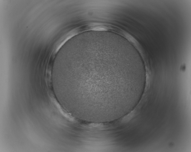 X0000113611194200909251135