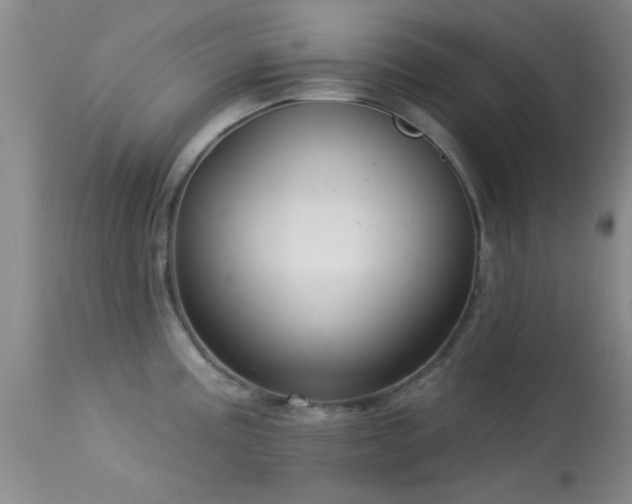 X0000113611195200909251135