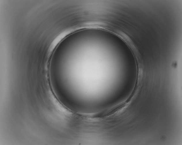 X0000113611196200909251135