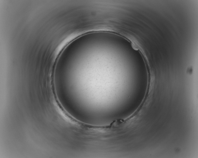 X0000113611197200909251135