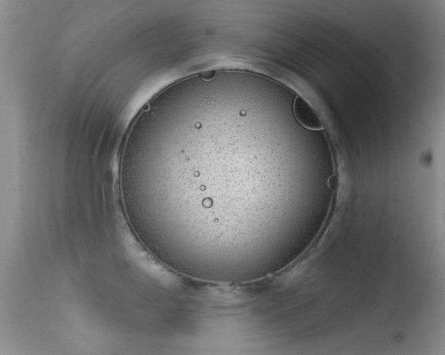 X0000113611198200909251135