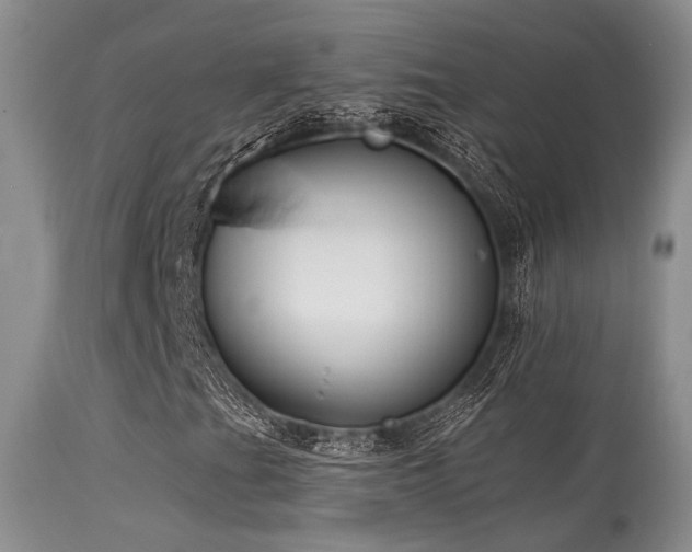 X0000113611201200909251134