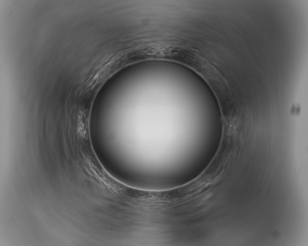 X0000113611202200909251134