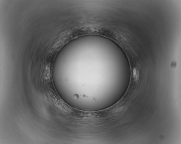 X0000113611203200909251134