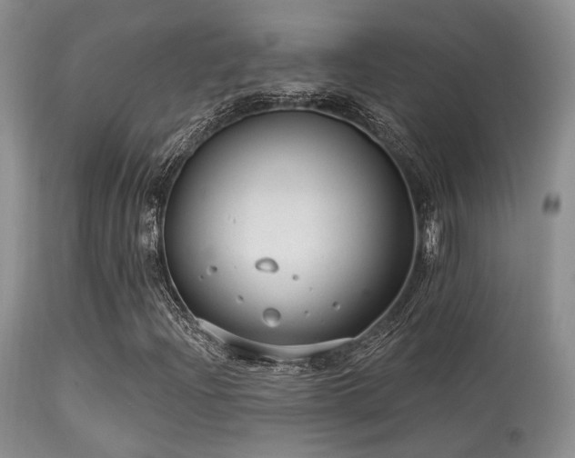 X0000113611204200909251134