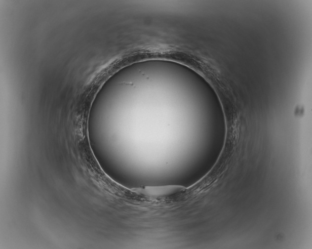 X0000113611205200909251134