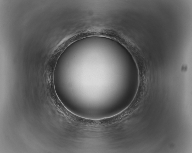 X0000113611206200909251134