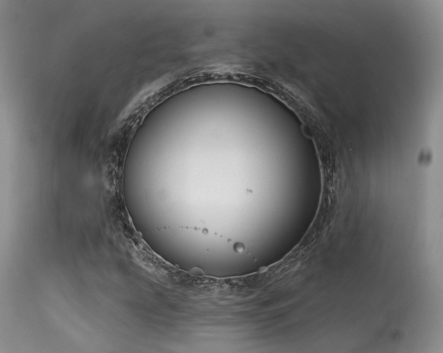 X0000113611207200909251134