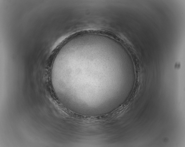 X0000113611208200909251134