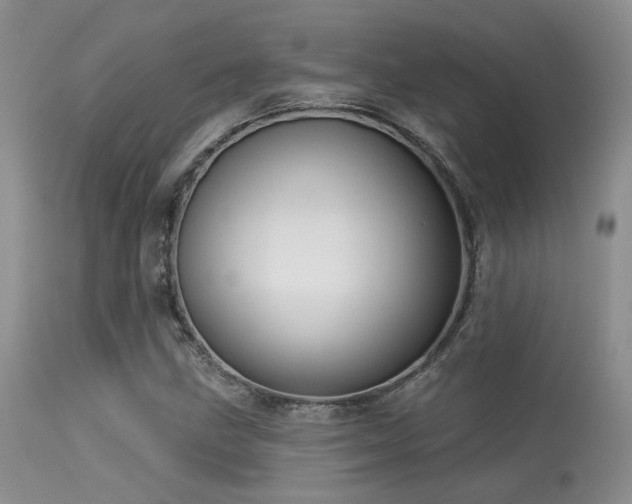 X0000113611211200909251134