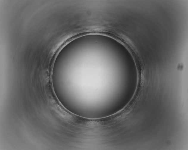 X0000113611212200909251134