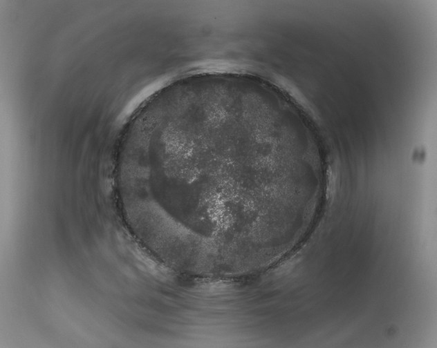 X0000113611213200909251134