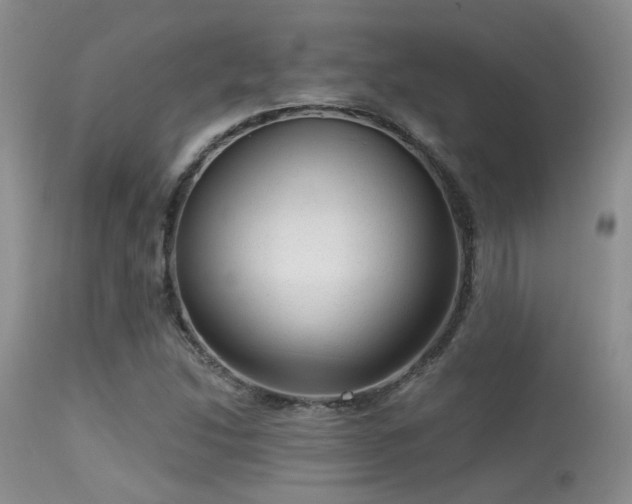 X0000113611214200909251134