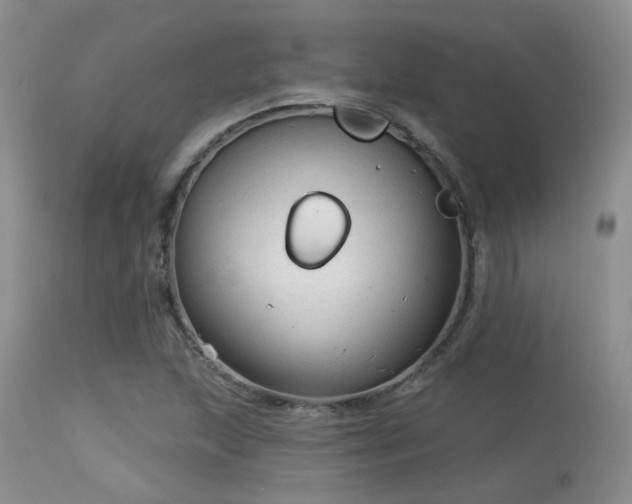 X0000113611215200909251134