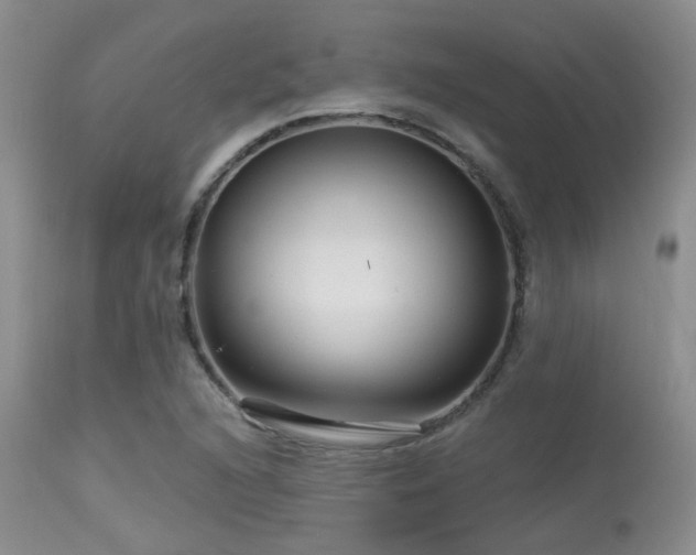 X0000113611216200909251134