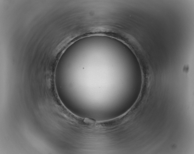 X0000113611217200909251134