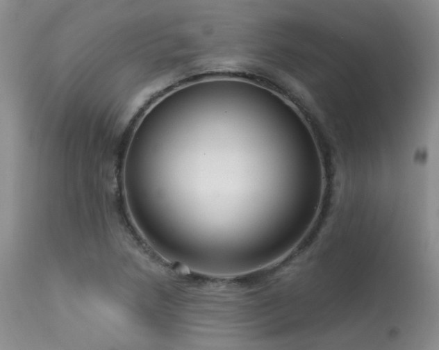 X0000113611218200909251134