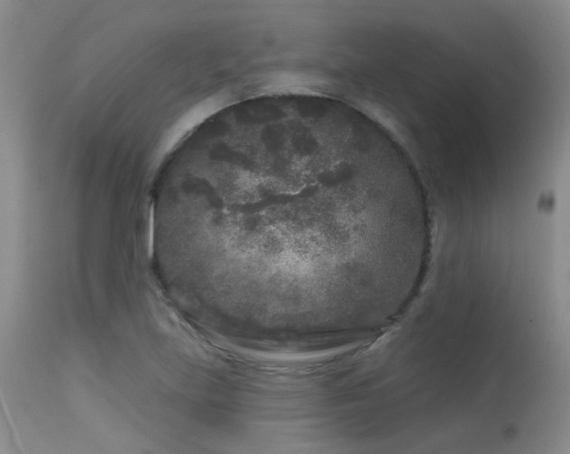 X0000113611219200909251134