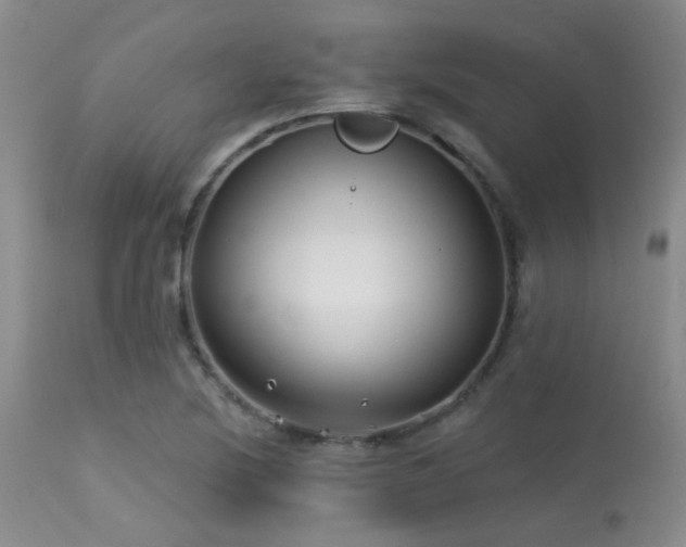 X0000113611220200909251134