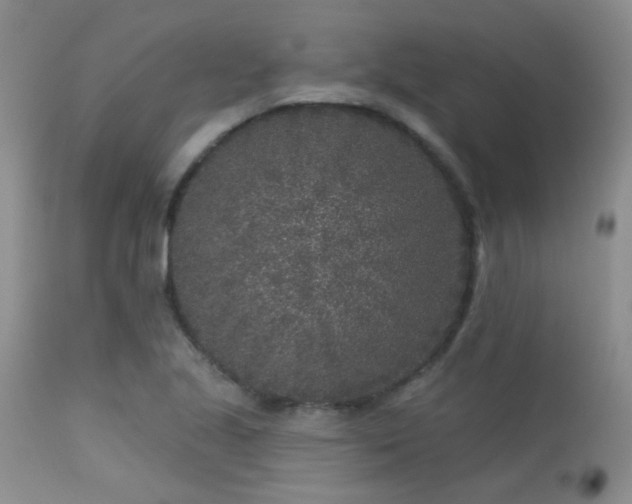 X0000113611221200909251134