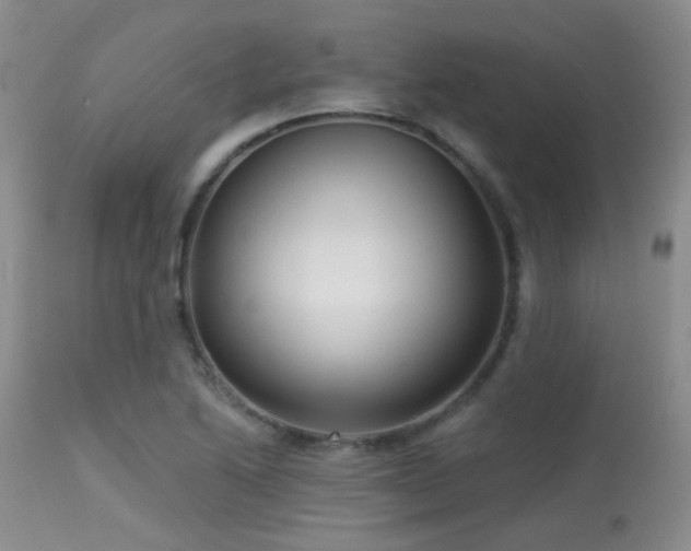 X0000113611222200909251134