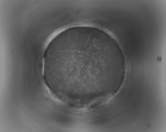 X0000113611223200909251134