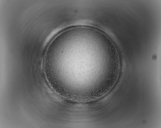 X0000113611224200909251134