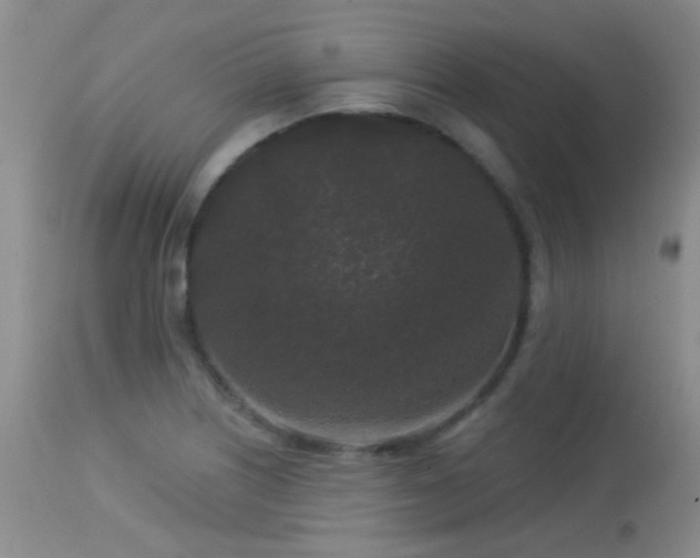 X0000113611226200909251134