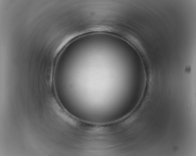 X0000113611228200909251134